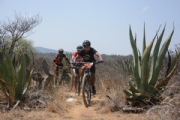 T2602918