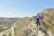X2604190
