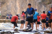 T2604685