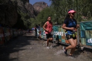 W2608853
