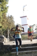 F2618267