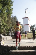 N2618329
