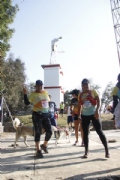 O2618331