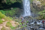 C2623487