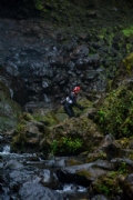G2623452