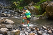 W2623457