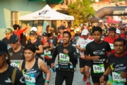 B2615247