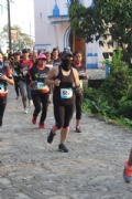 C2613564