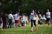 N2624483