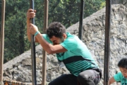 T2631559
