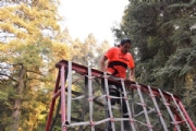 C2628560