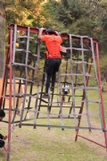 C2628566