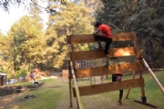 F2628509