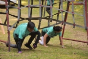 N2629218