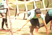 T2629271