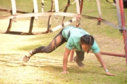 T2629291