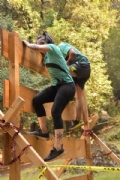 V2628264
