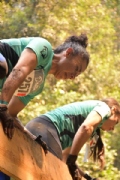 X2629268