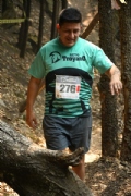 Y2629538
