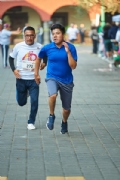 D2633363