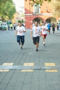 D2633375