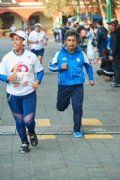 G2633337