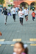 H2633532