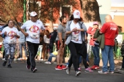 T2632044