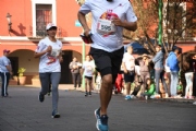 T2632247
