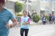 T2634636