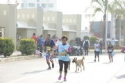 Y2634641