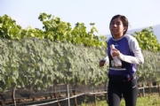 E2662432