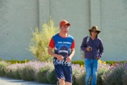T2669478