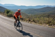 T2659281