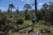 E2681539