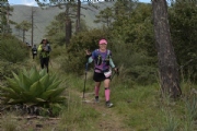 N2681856