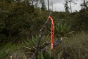 Y2681468