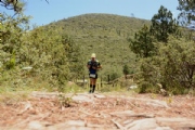 C2679397