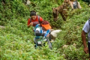 D2671427