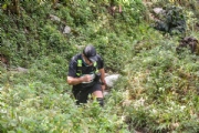 F2671246