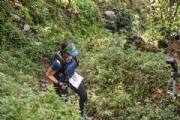 G2671424