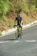 T2647813