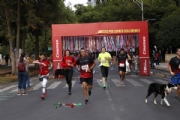 E2639226