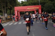 T2638982
