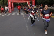 T2639460