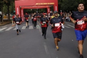 T2639536