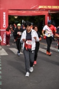 D2642955