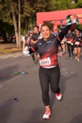 O2640334
