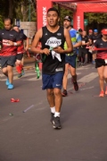 T2641208