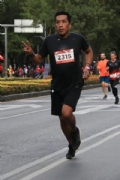 D2644233